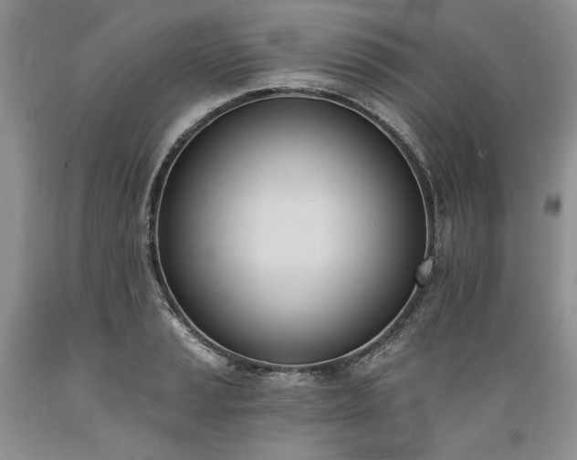 X0000089391037200706221313