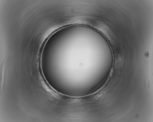 X0000089391038200706221313