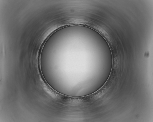 X0000089391039200706221313