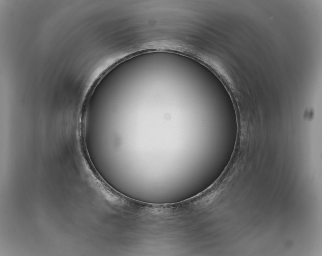 X0000089391040200706221313