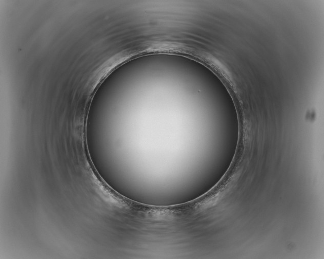 X0000089391041200706221313