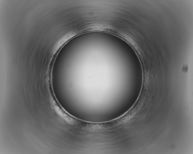X0000089391042200706221313