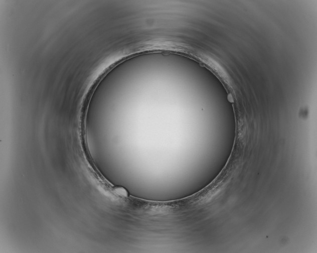 X0000089391043200706221313