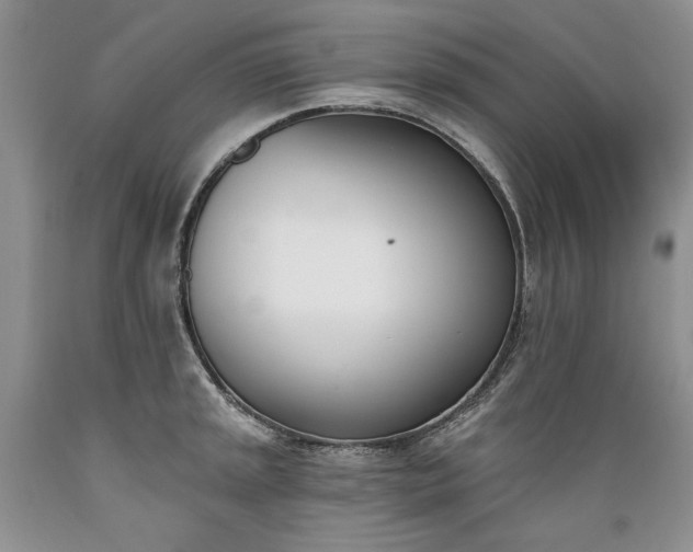 X0000089391045200706221313