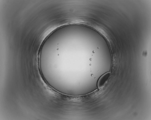 X0000089391047200706221313