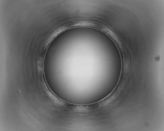 X0000089391049200706221313