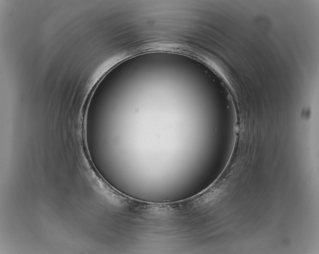 X0000089391050200706221313