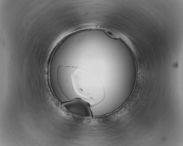 X0000089391051200706221313