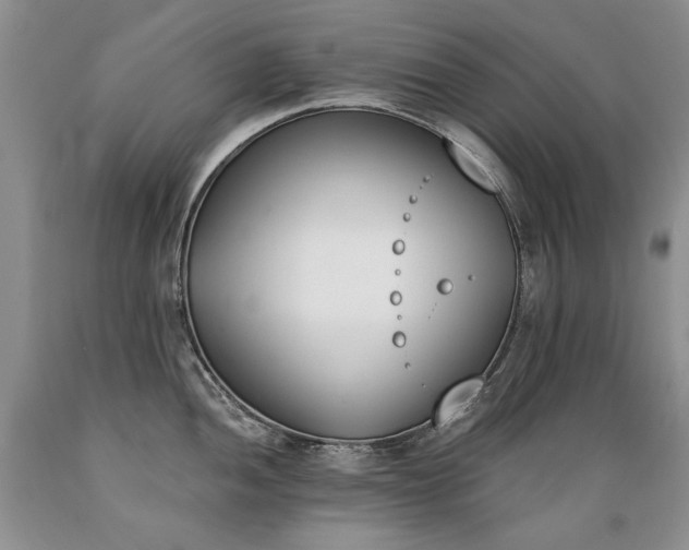 X0000089391052200706221313