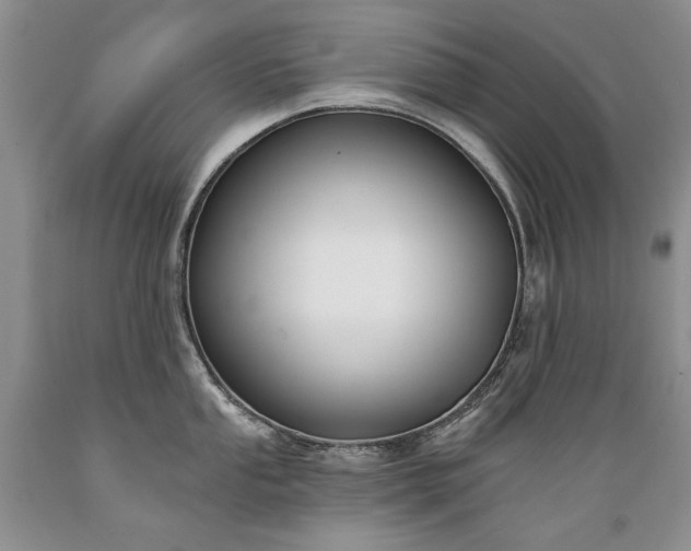 X0000089391053200706221313
