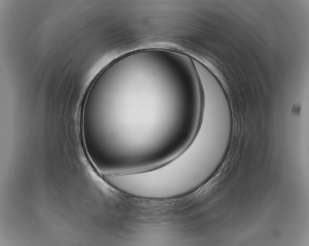 X0000089391054200706221313