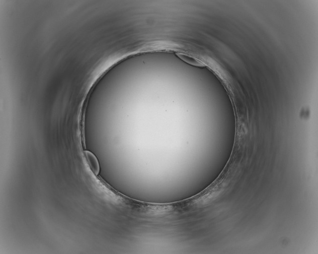 X0000089391055200706221313