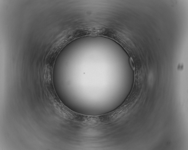 X0000089391058200706221313