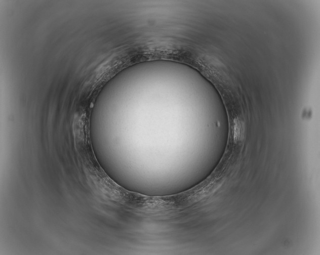X0000089391059200706221313
