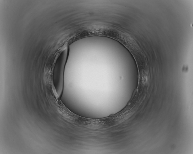 X0000089391060200706221313