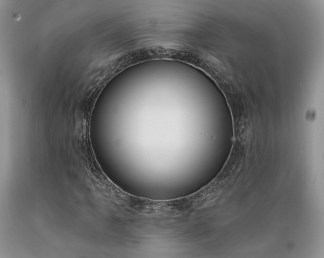 X0000089391061200706221313