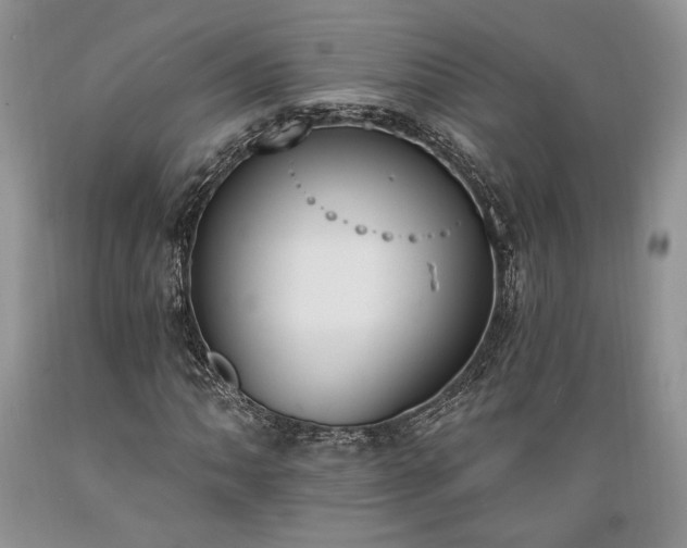 X0000089391062200706221313