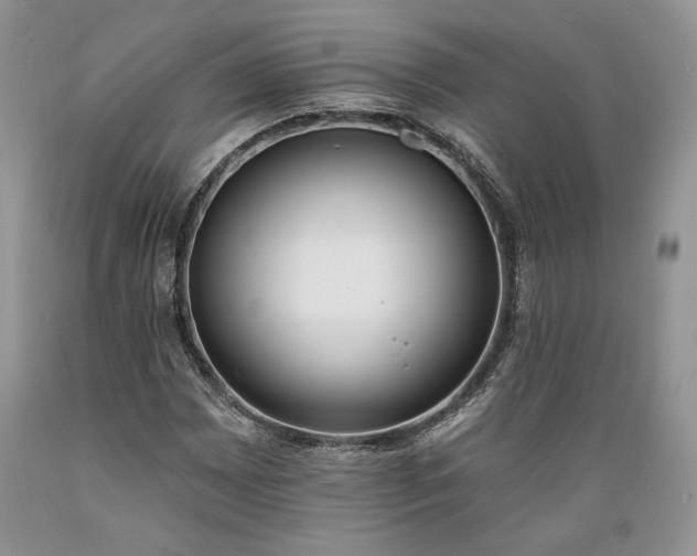 X0000089391065200706221313