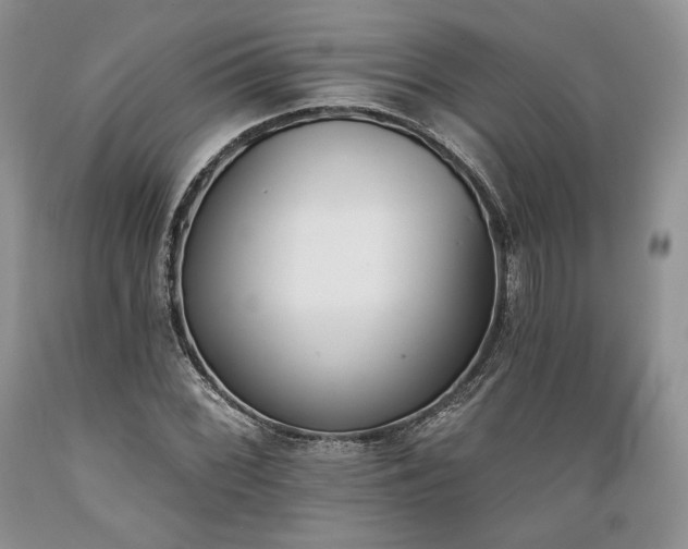 X0000089391068200706221313