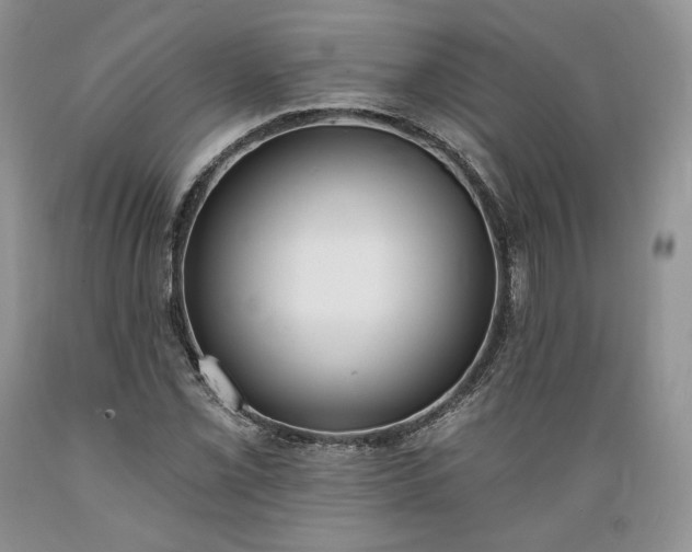 X0000089391069200706221313