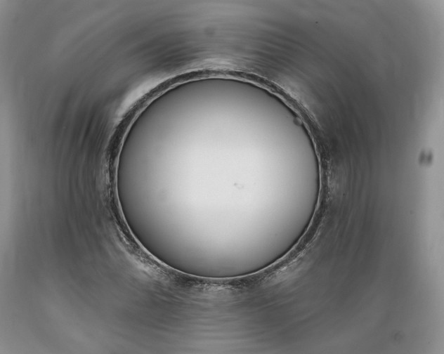 X0000089391070200706221313