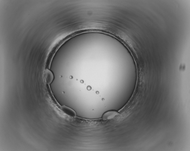 X0000089391072200706221313