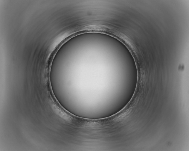 X0000089391075200706221313
