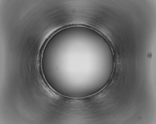 X0000089391076200706221313