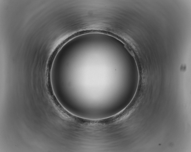 X0000089391077200706221313