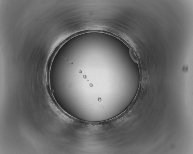 X0000089391080200706221313