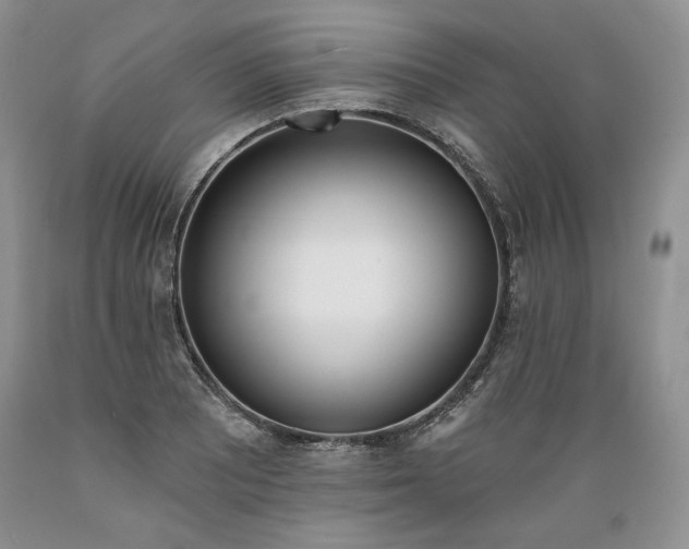 X0000089391081200706221313