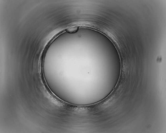 X0000089391082200706221312