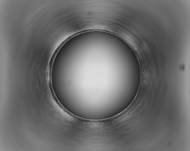 X0000089391084200706221312