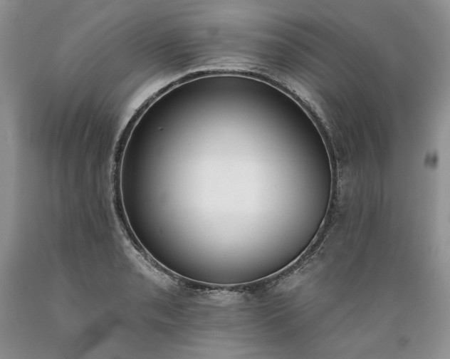 X0000089391085200706221312