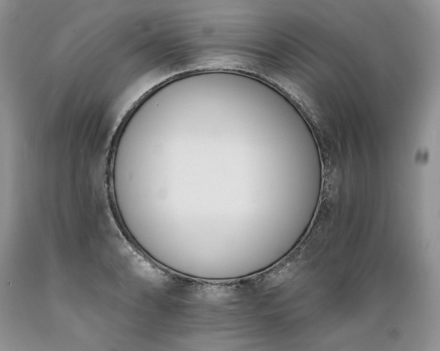 X0000089391086200706221312