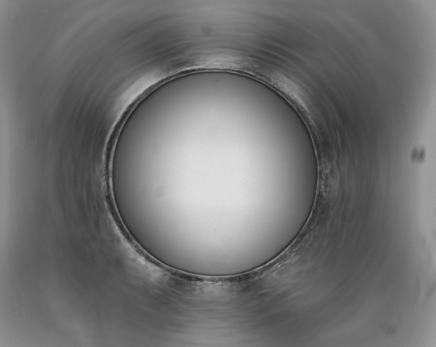 X0000089391087200706221312