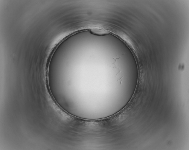 X0000089391088200706221312