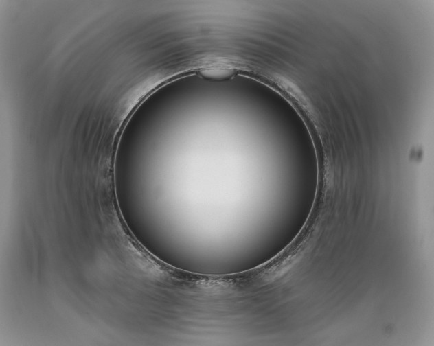X0000089391089200706221312