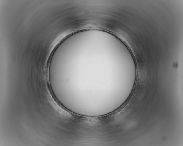 X0000089391090200706221312