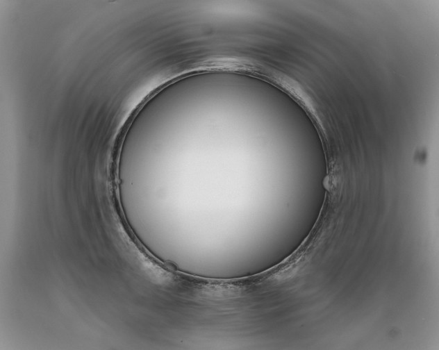X0000089391091200706221312