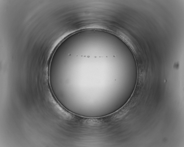 X0000089391092200706221312