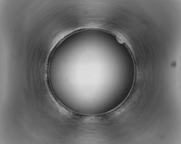 X0000089391093200706221312