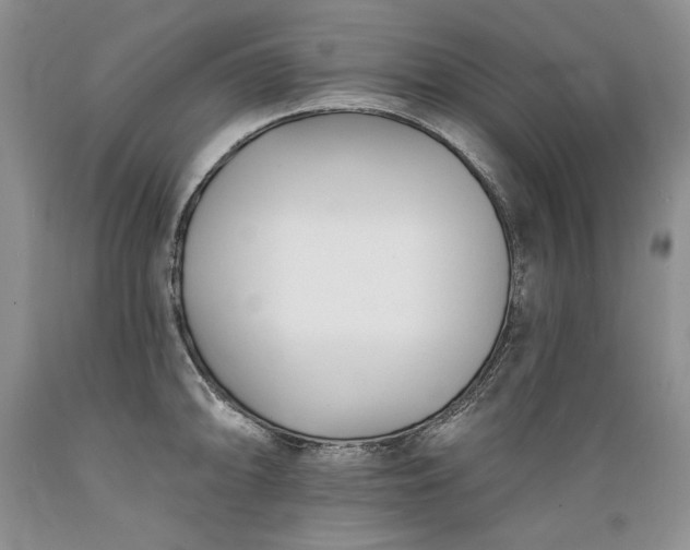 X0000089391094200706221312