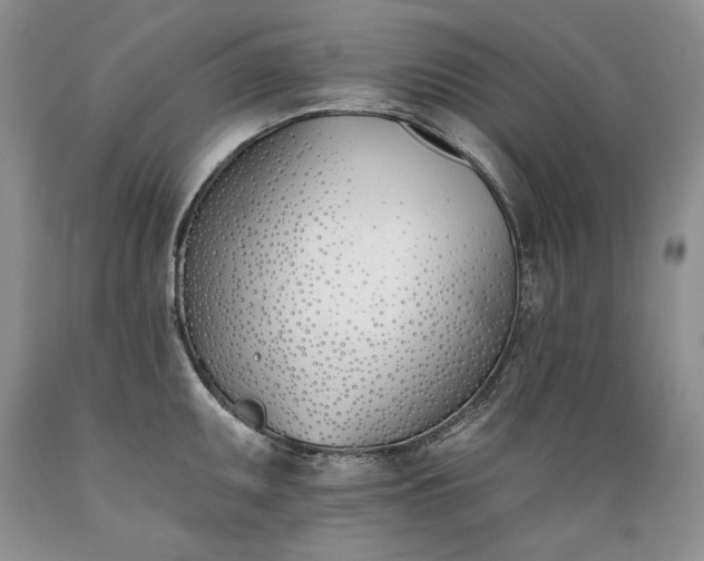 X0000089391095200706221312