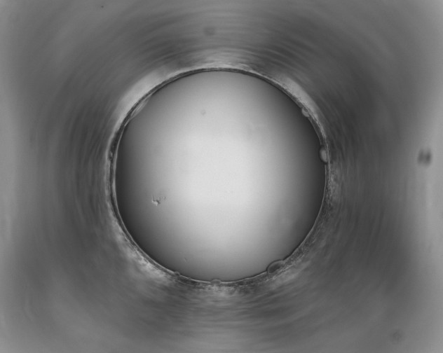 X0000089391096200706221312