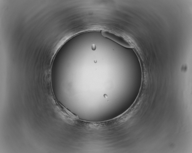 X0000089391097200706221312