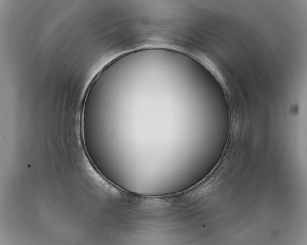 X0000089391100200706221312