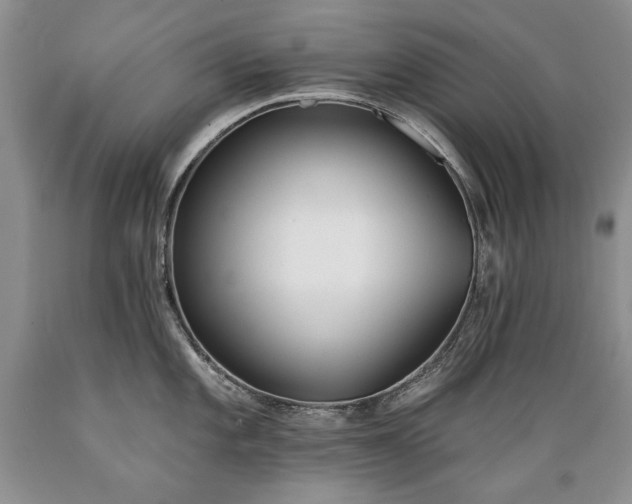 X0000089391101200706221312