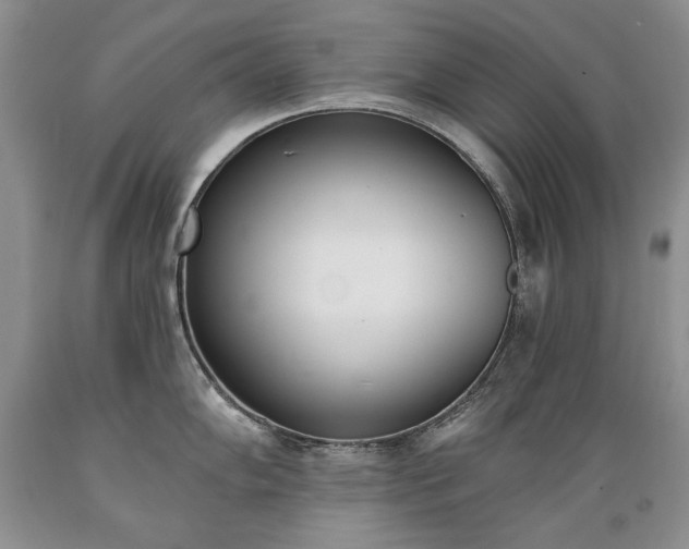 X0000089391102200706221312