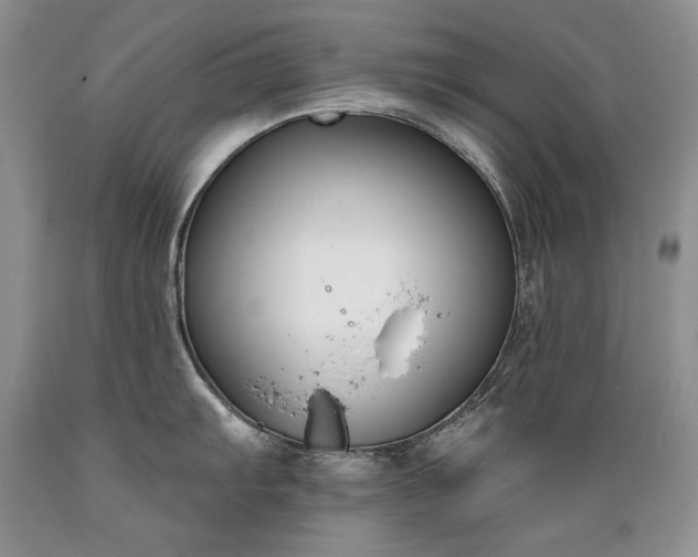 X0000089391103200706221312